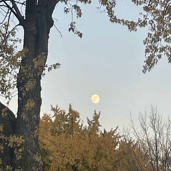 Meet your Posher, Ally - Picture 3 of 3